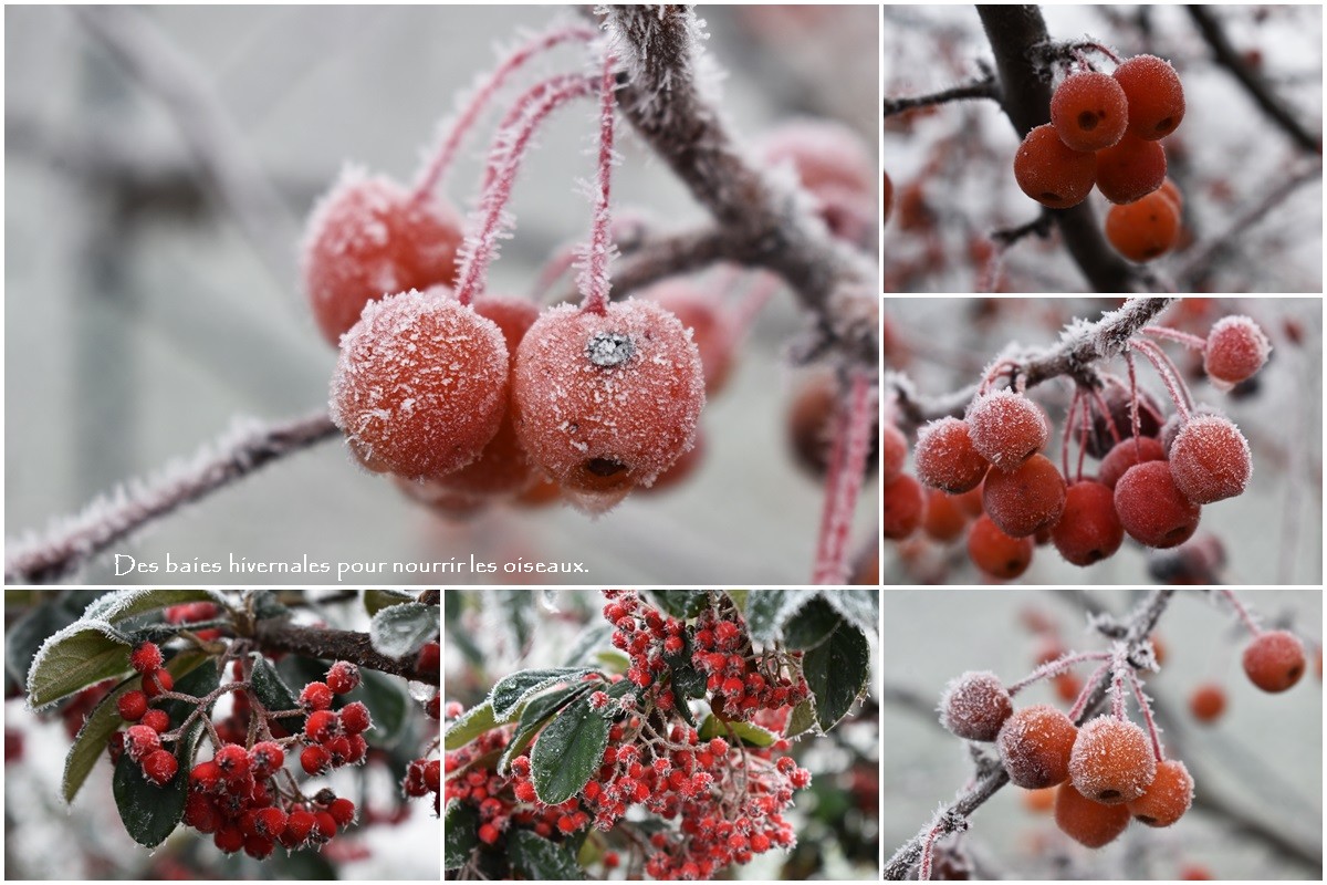 Hiver